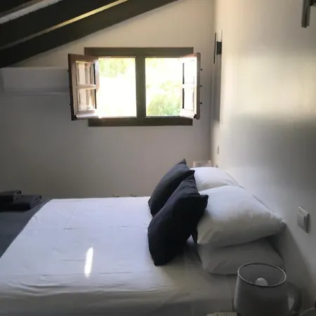 Casa Cameleon *